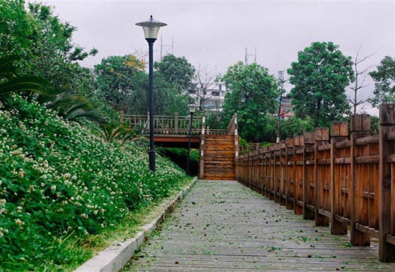 木栈道