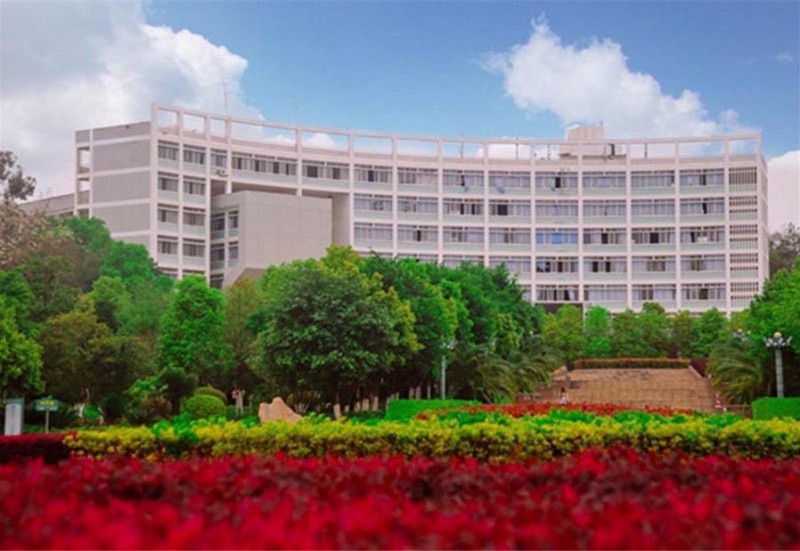 塑胶足球场 (1)