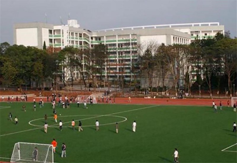 塑胶足球场 (2)
